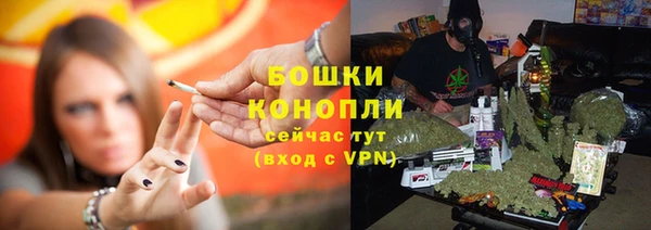 спиды Пересвет
